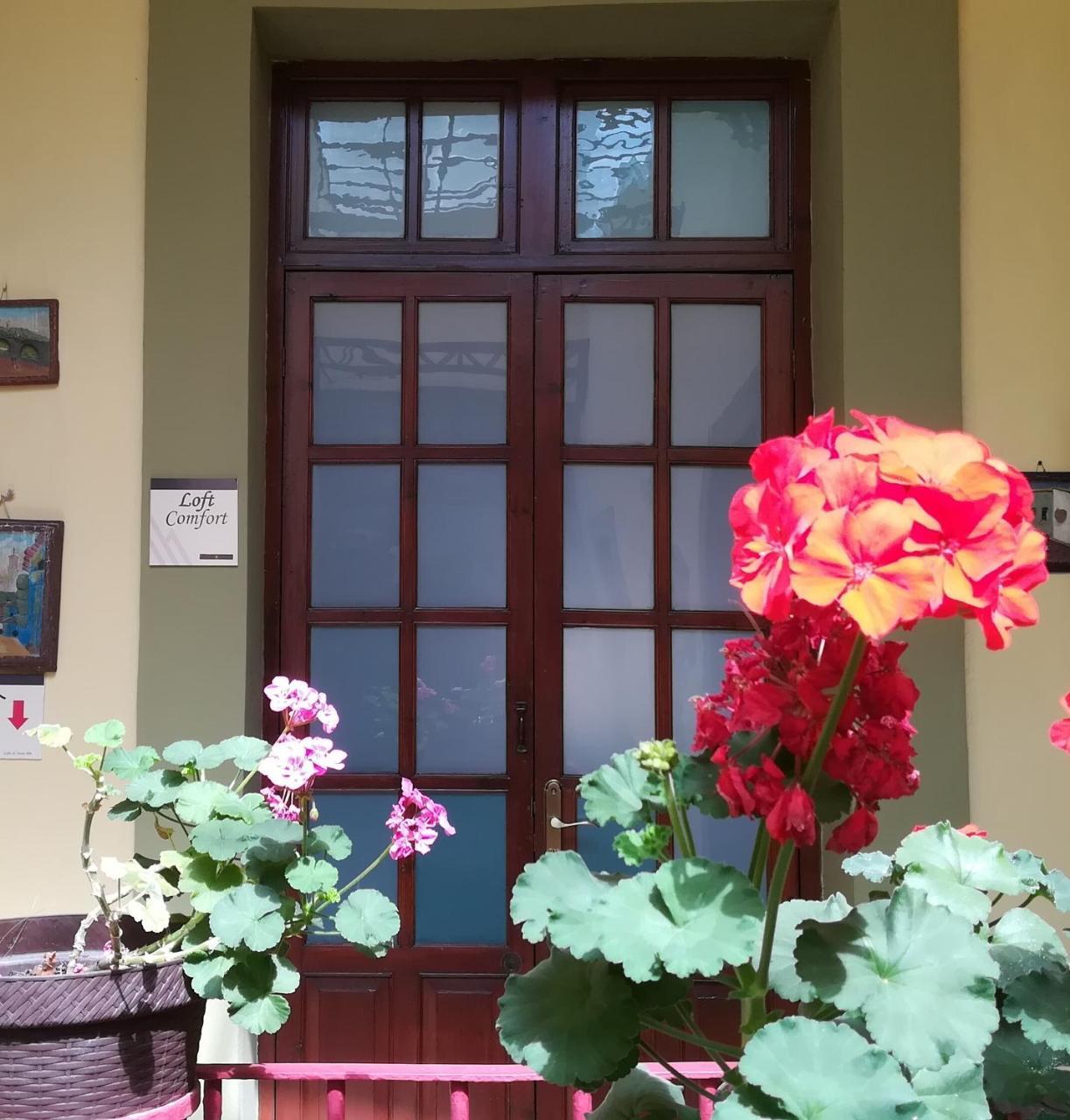 Casa Hotel Aroma 406 Puebla Dış mekan fotoğraf